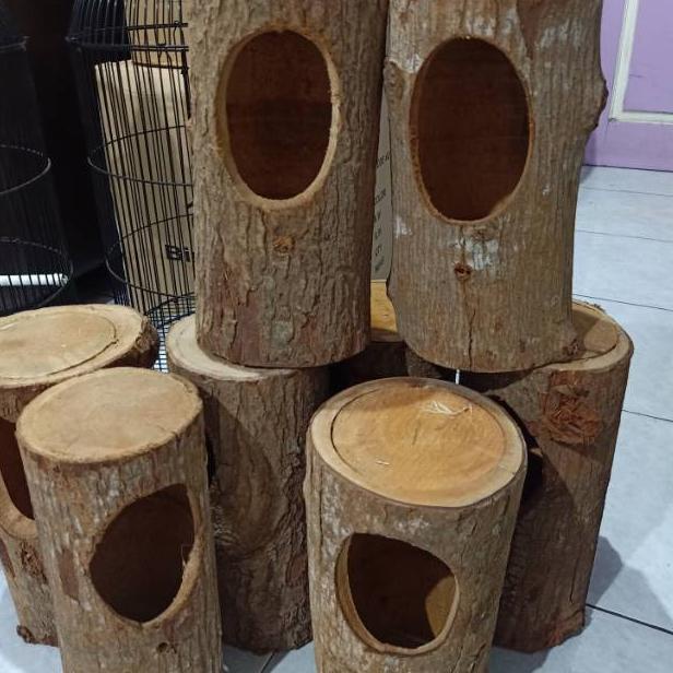 Glodok pohon untuk murai batu kacer - glodok burung - rumah burung ‑ MLN.22Oc22c