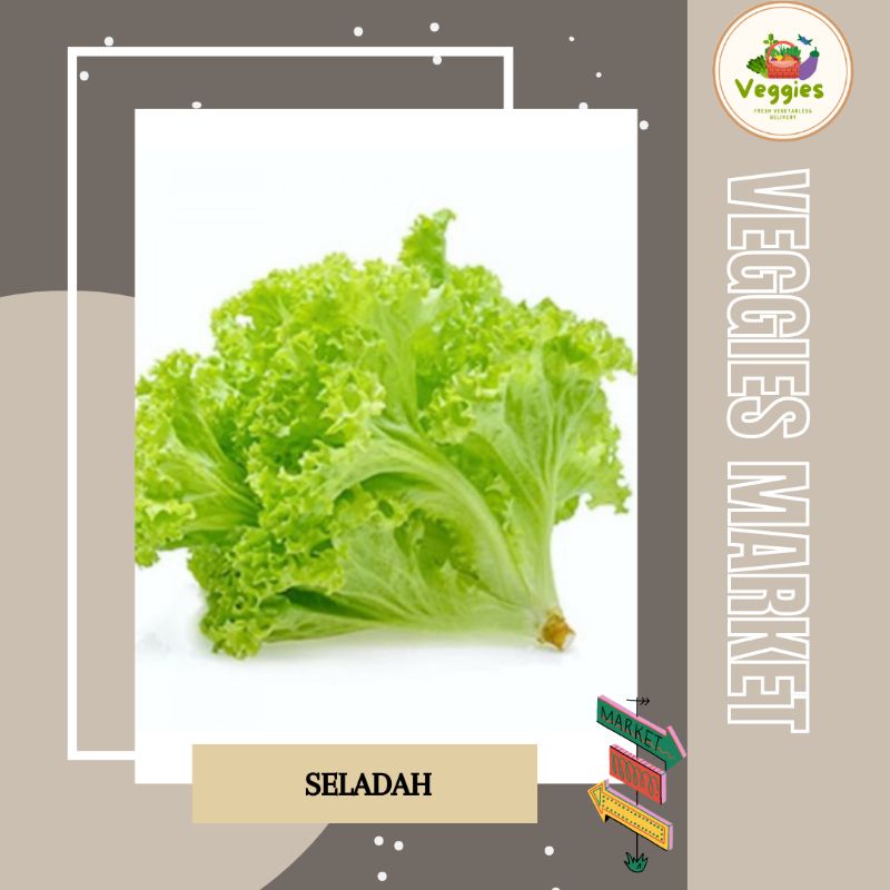 

SELADAH /Gr / Kg