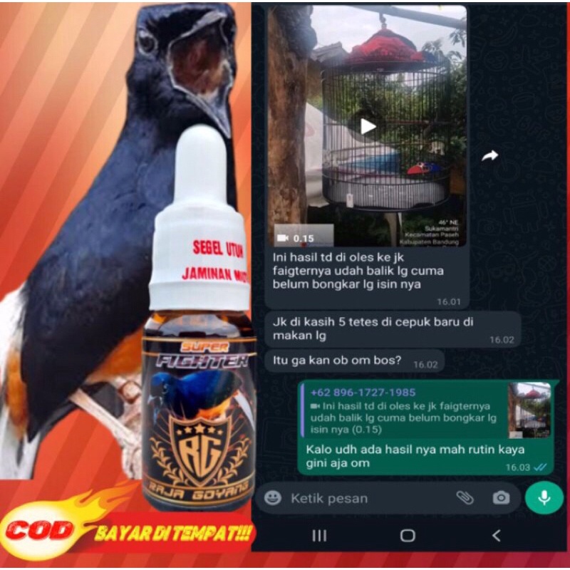 SUPER FIGHTER RG vitamin penggacor burung murai doping burung murai vitamin burung murai