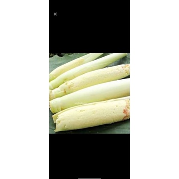 

TERBAIK sayur terubuk segar 500gram/sayur lilin/endog tebu segar