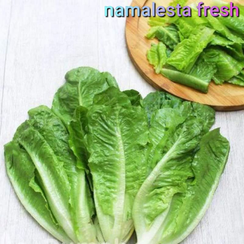 

Selada romaine-namafresh