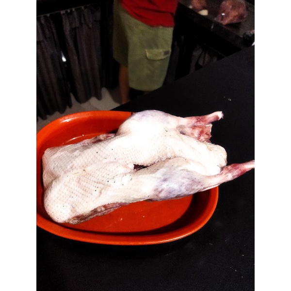 

Bebek hibrida beku tanpa jeroan 1.1kg fresh