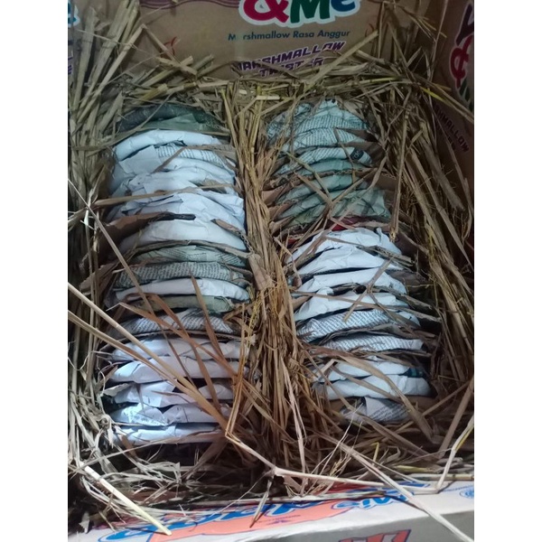 

EKSTRA PACKING