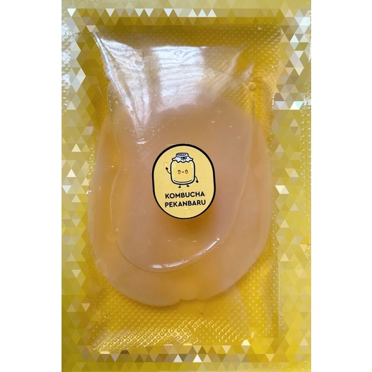 

XL Scoby / BIG SCOBY / Scoby Besar 25 Cm/ Scoby Diameter 25 Cm/ Kombucha Scoby / Teh Scoby / Bibit Scoby/ Bibit Starter / Bibit Kombucha /Scooby Jumbo / Scoby Jumbo