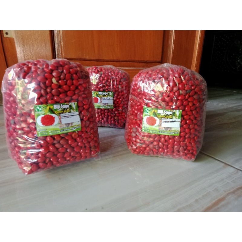 

Ready-, Biji saga super kemasan 1kg