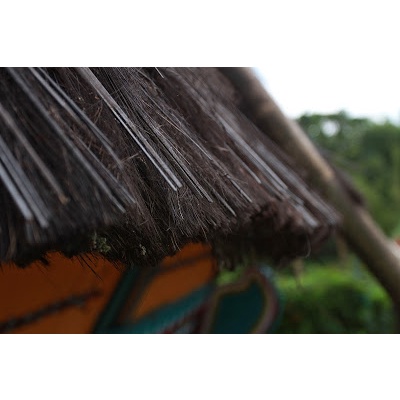 Harupat lidi kawung aren kering 50cm harupat kawung lidi aren kering harupat asli