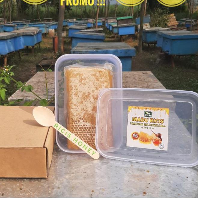 

limited Edition✔️[500 gr ]Madu sarang asli murni (original)SARANG MADU epis melifera netto 500 gram|SQ8