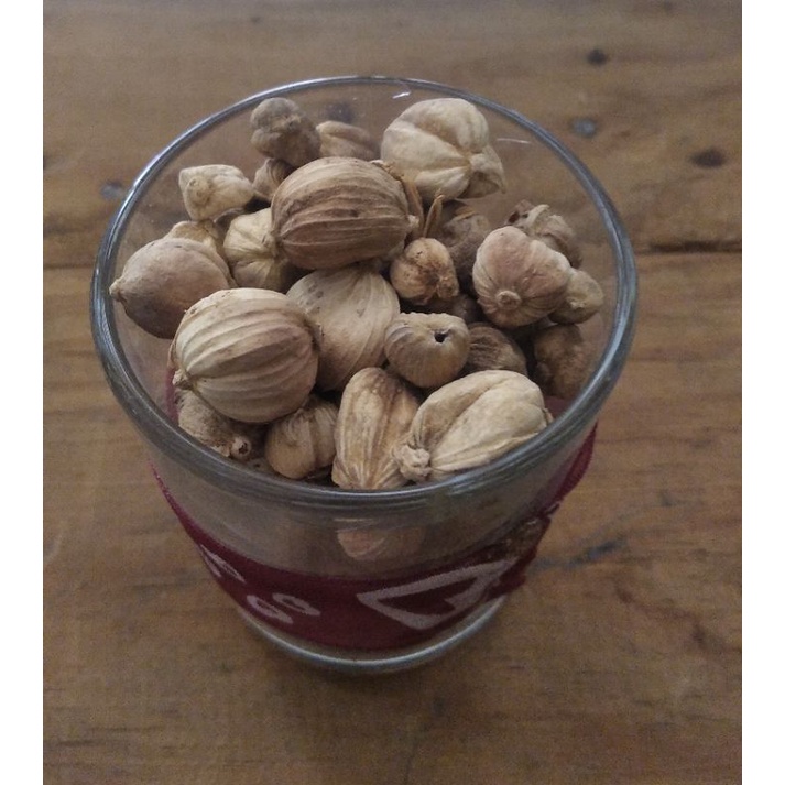 

Kapulaga Jawa, Kapulaga Lokal, Kapulaga Murah 100g