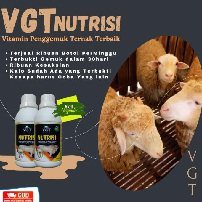 

[BISA COD] VGTnutrisi vitamin penggemuk kambing domba etawa kacang boer jawarandu