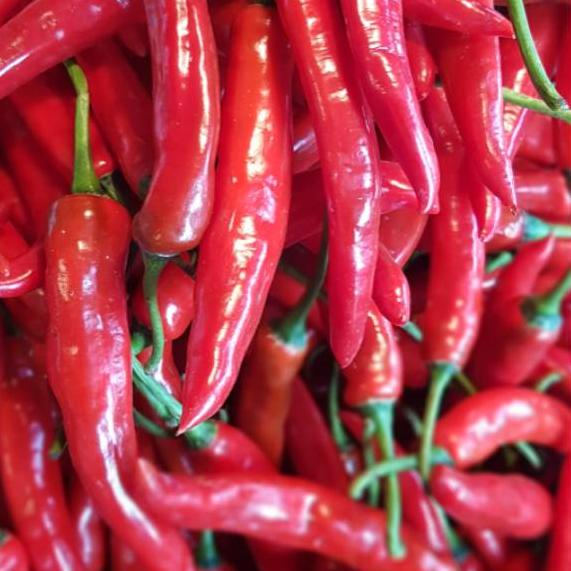 

limited STOCK!Cabe merah TW Besar|KD4