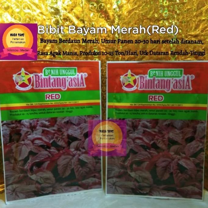 ] Bibit Bayam Merah (RED) Bintang Asia 50gr