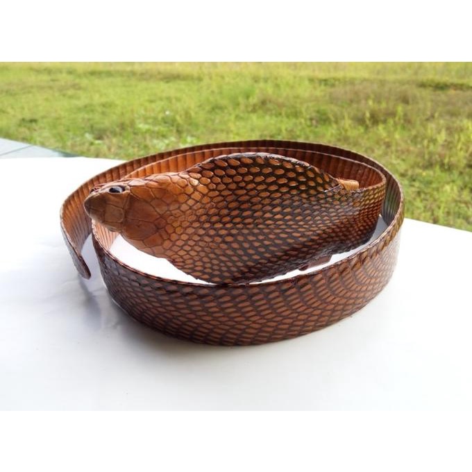 [BISA COD] Sabuk / Ikat Pinggang Kulit dan Kepala Ular Cobra Asli Asli Limited