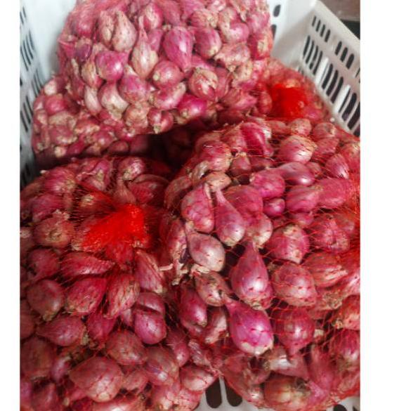 

Pesan Saja--PROMO Bawang Merah Brebes