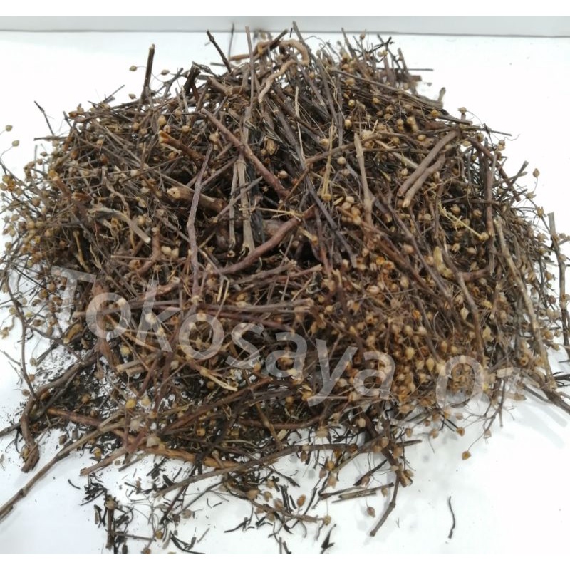 

37,5 gr Mao Dan Cao / Mao Tan Chao ( 毛丹草 )