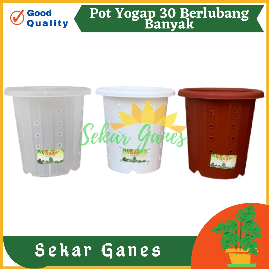 TERMURAH Pot Yogap 30 BERLUBANG Putih Bening Transparan Merah Bata Merah Coklat Terracota Terracotta-POT BUNGA YOGAP YPT 13 BERLUBANG BENING / TRANSPARAN PUTIH &amp; MERAH BATA | POT TANAMAN HIAS