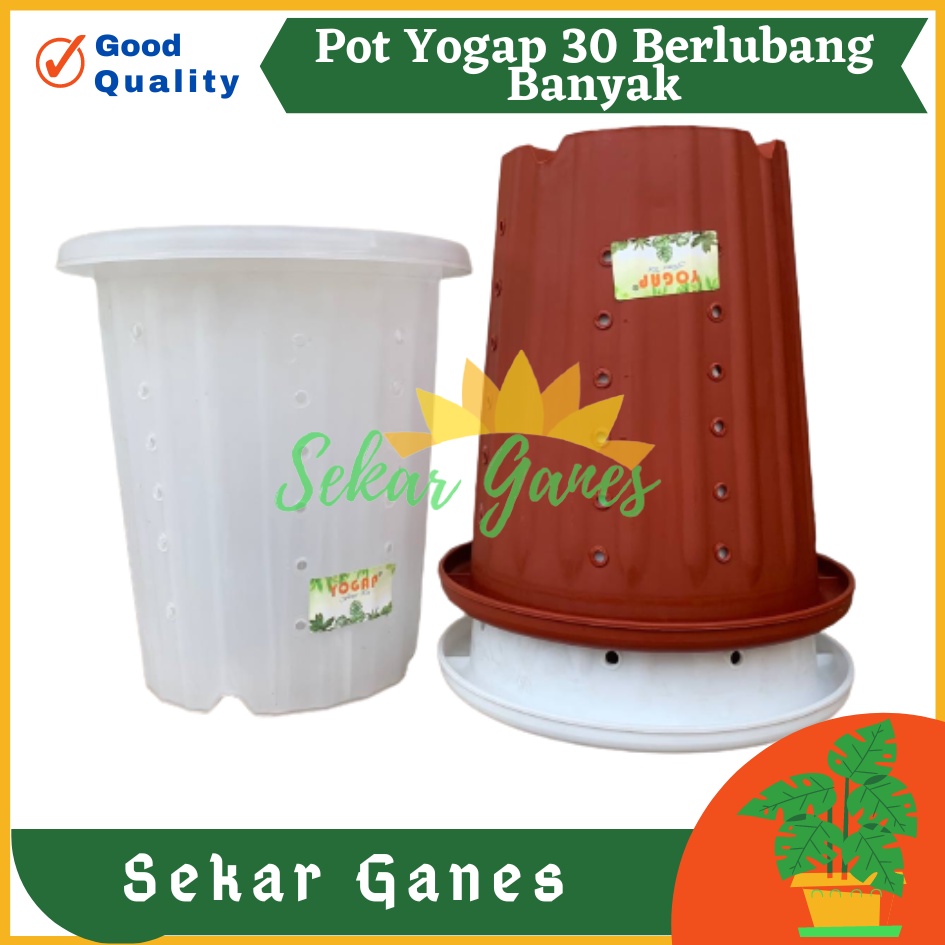 TERMURAH Pot Yogap 30 BERLUBANG Putih Bening Transparan Merah Bata Merah Coklat Terracota Terracotta-POT BUNGA YOGAP YPT 13 BERLUBANG BENING / TRANSPARAN PUTIH &amp; MERAH BATA | POT TANAMAN HIAS