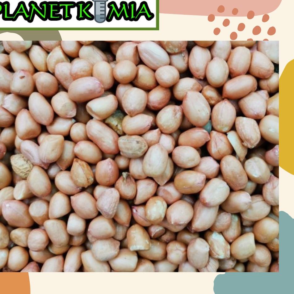 

Pesan aja--Kacang Tanah Super Putih 500 gram dan 1000 gram Best Quality MURAH MERIAH!!! KACANG RENYAH DAN GURIH