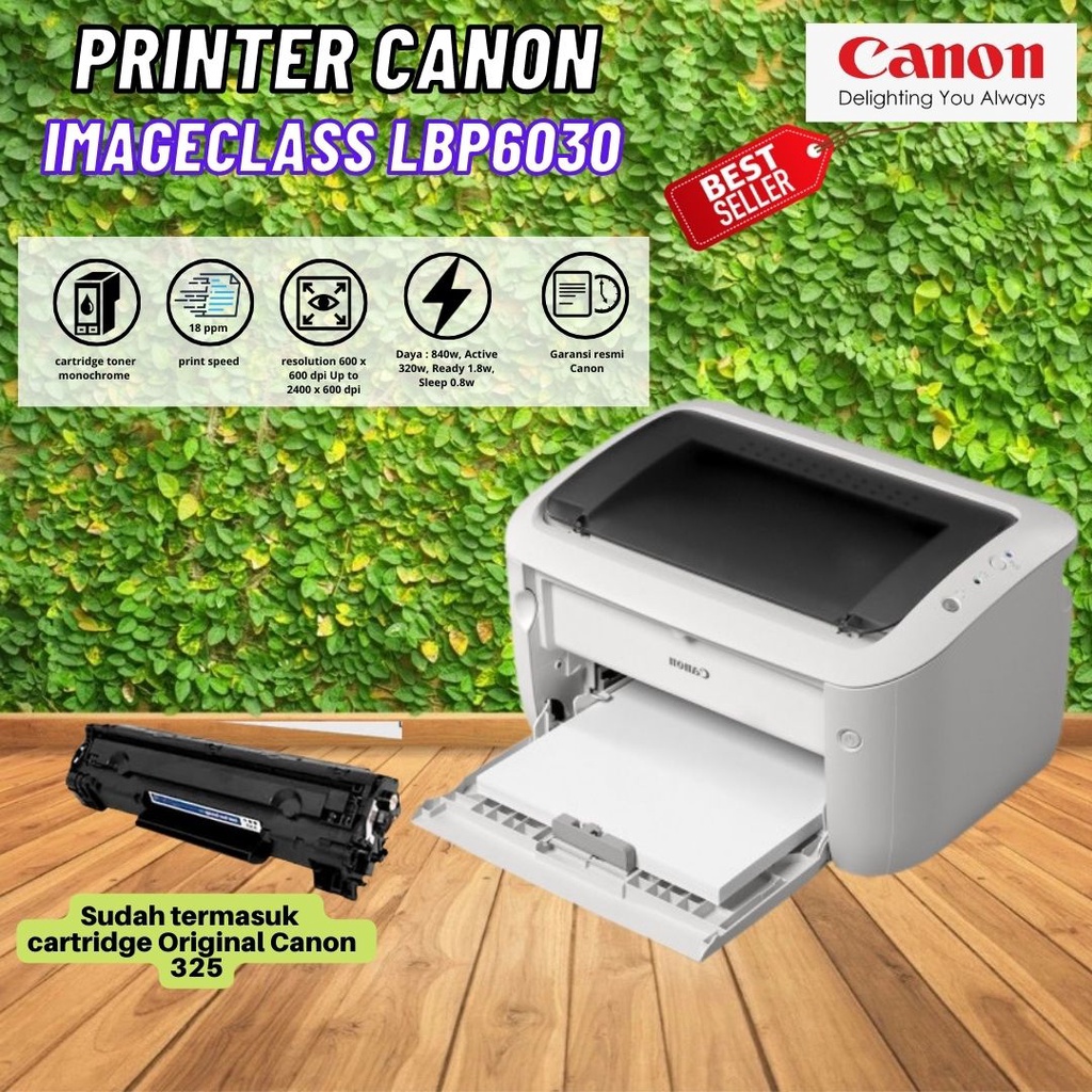Printer Canon ImageCLASS LBP6030