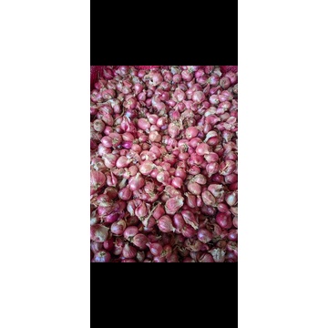 

brambang kering