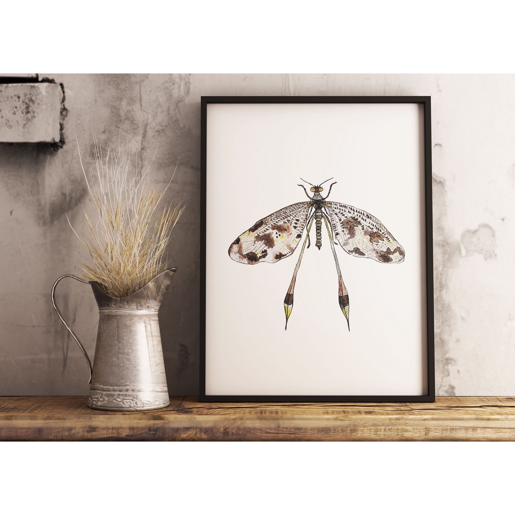 Watercolor Dragonflies Set