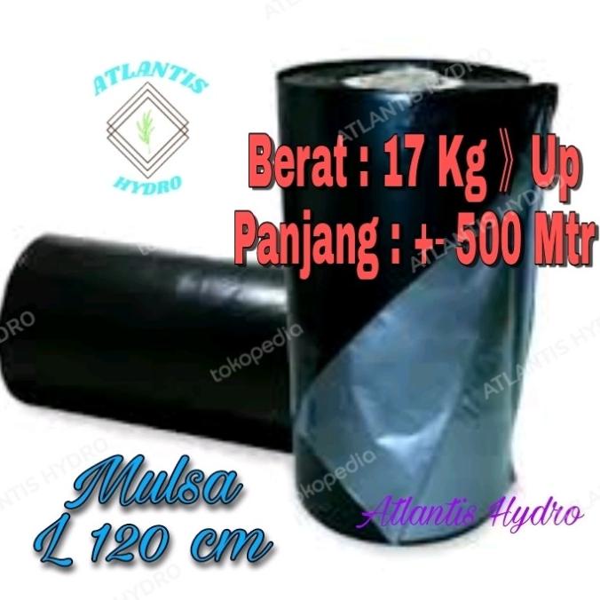 Plastik Mulsa Lebar 1,2 M Panjang 500 M ( 1 Roll ) MURAH 