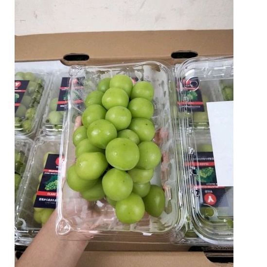 

buah anggur shine muscat import super | manis dan tanpa biji | premium grape 500 gram/pack