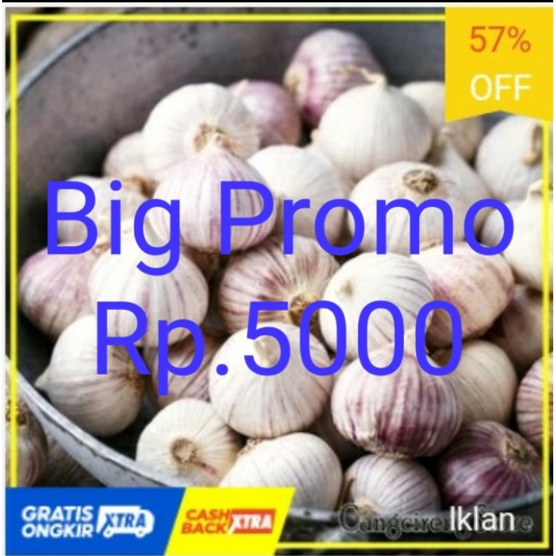 

Bawang Putih Tunggal Lanang Besar JUMBO 1KG/ fresh import