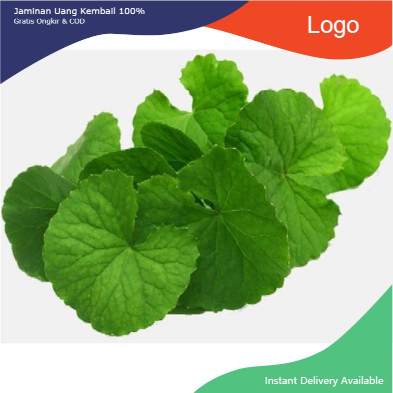 

Promo Daun pegagan 500 gram