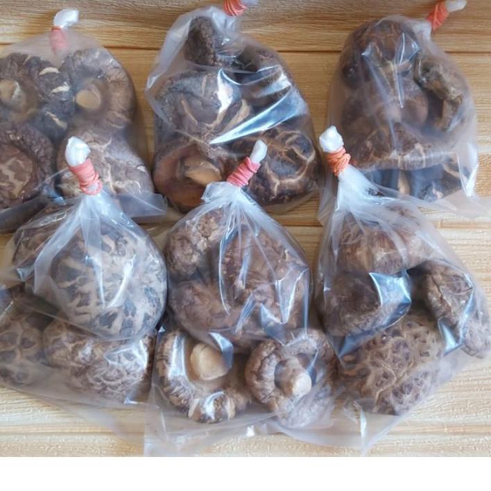 

㊨ ✔MURAH Jamur Shitake / Jamur Yoko / Jamur Hyoko / Jamur Payung / Hioko / Xiang Ku / Siangku ぱ