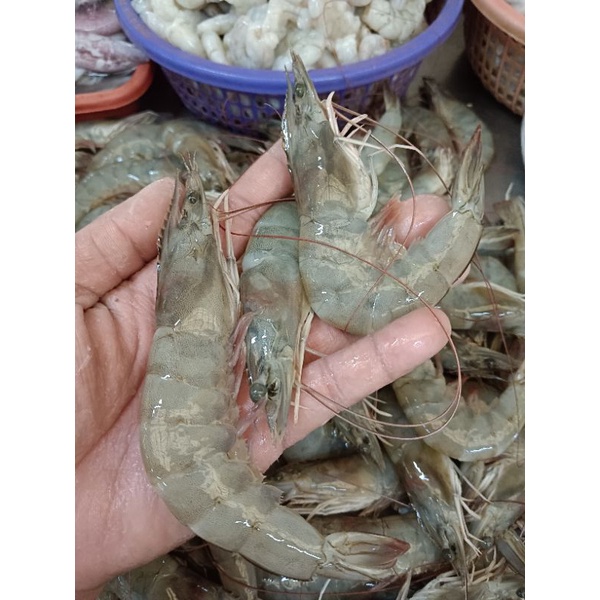 

Udang vaname size 40/50 segar 1kg