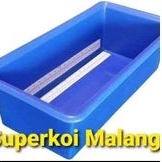 Bak Ukur Koi 100cm Ikan 100 Cm