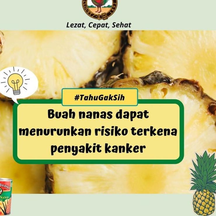 

art6c6Bq--AYAM BRAND FRUIT 565 GR TROPICAL COCKTAIL / PINEAPPLE NANAS SLICE