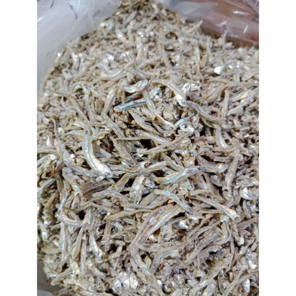 

ikan teri pulau
