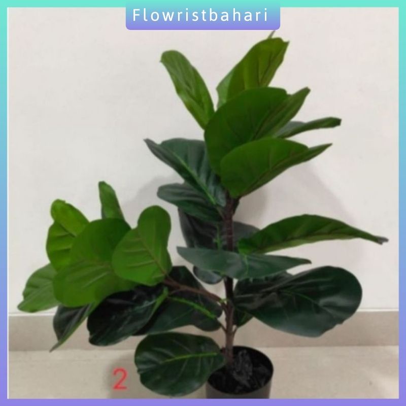 Dekorasi artificial pohon Ketapang latex palsu plastik pohon Ketapang hias dekorasi