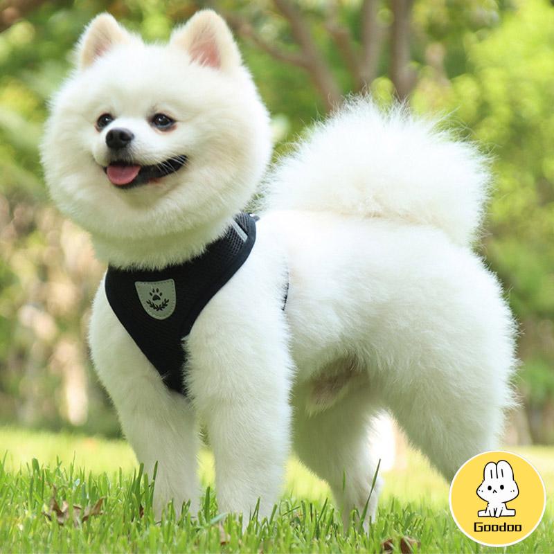 Pet Chest Back Leash Mesh Strip Reflektif Crossing Road Perlengkapan Hewan Peliharaan tahan aus -Doo