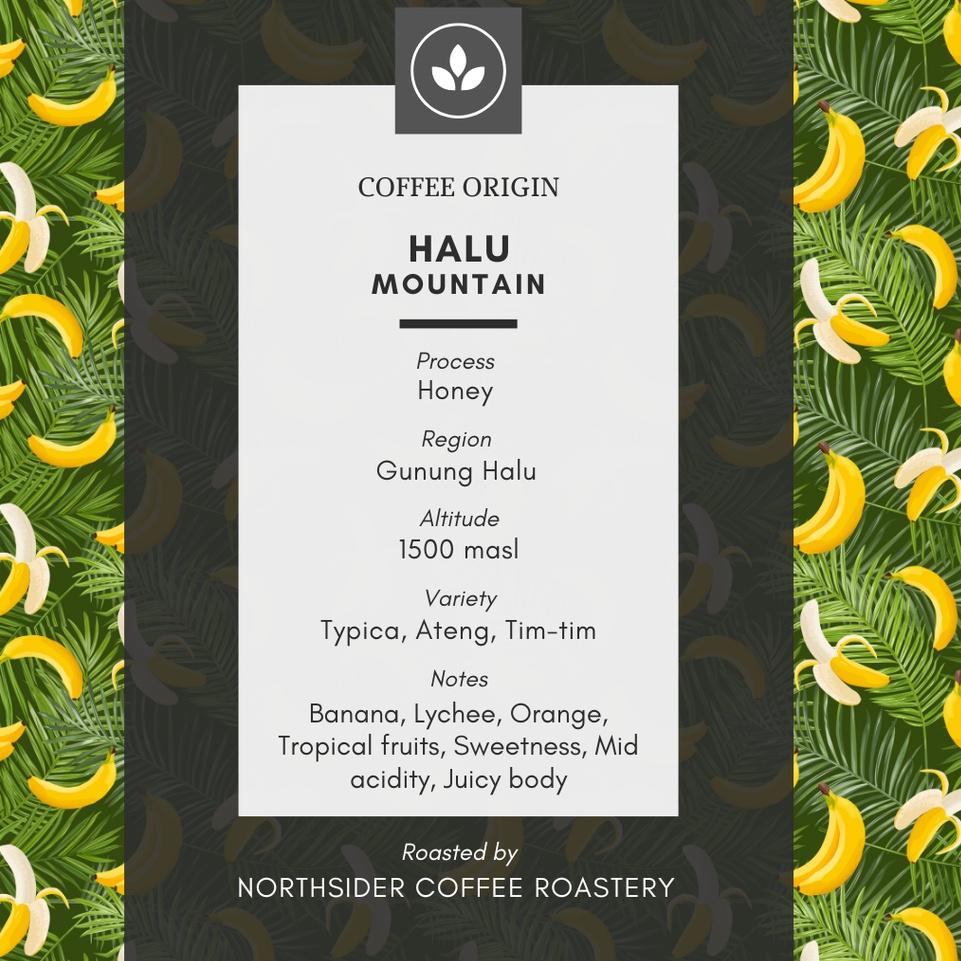 

Kemasan Baru.. BIJI KOPI ARABIKA GUNUNG HALU HONEY - 200GR NORTHSIDER COFFEE 100