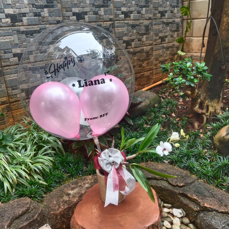 Buket Anggrek Dendrobium Mini dalam Pot + Balon Ucapan