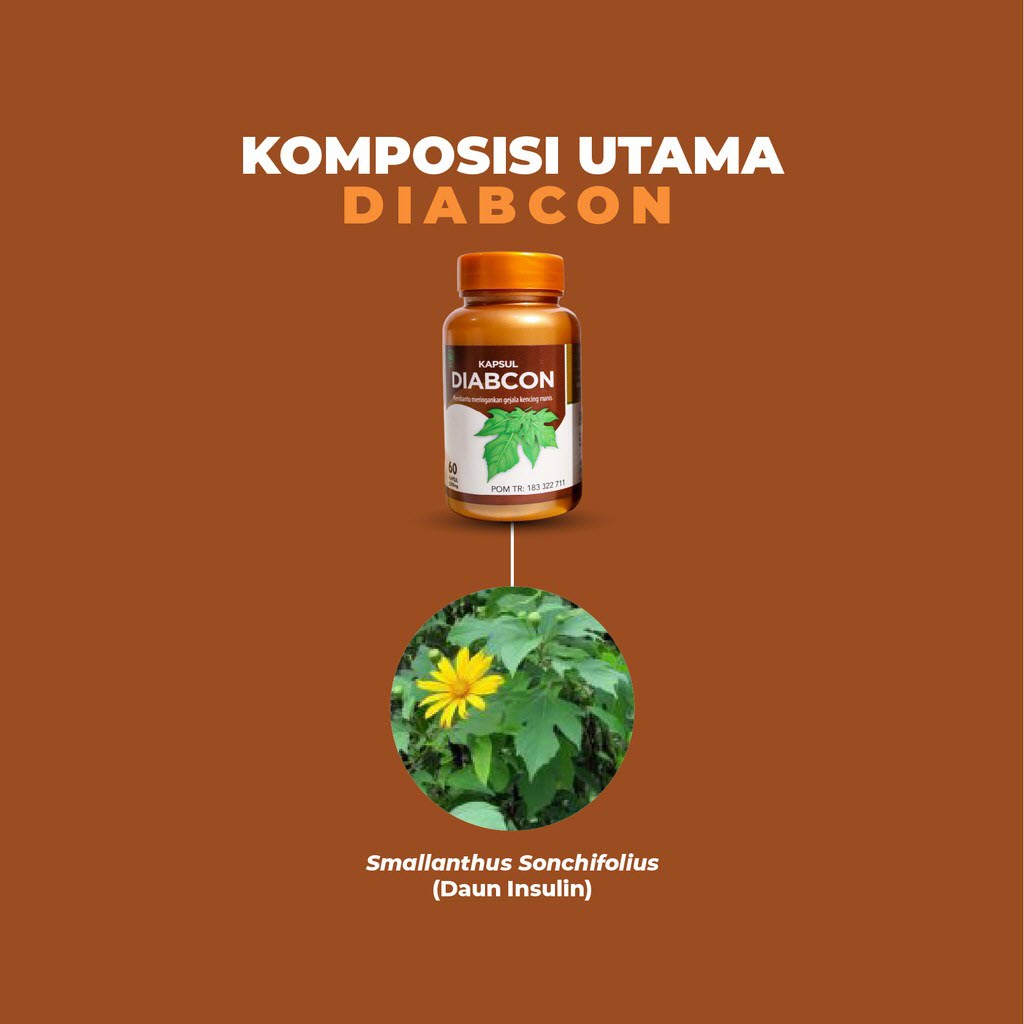 Kapsul Diabcon Obat Herbal Diabetes Gula Darah Kencing Manis 60 kapsul