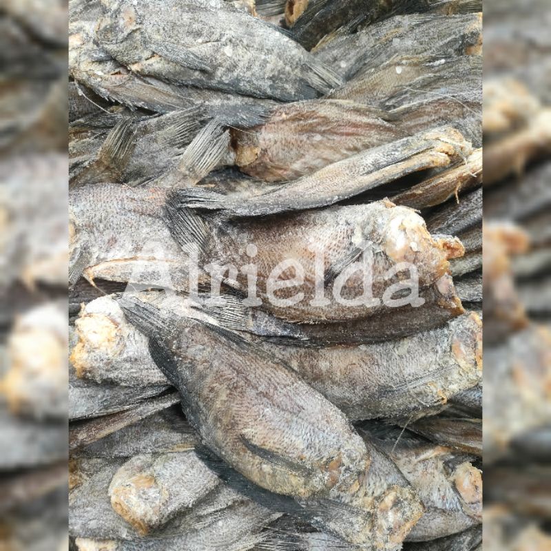 

IKAN SEPAT KERING 500GRAM