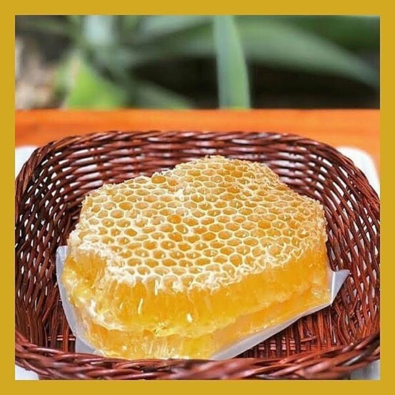 

PROMO Comb Honey | Madu Sarang Organik