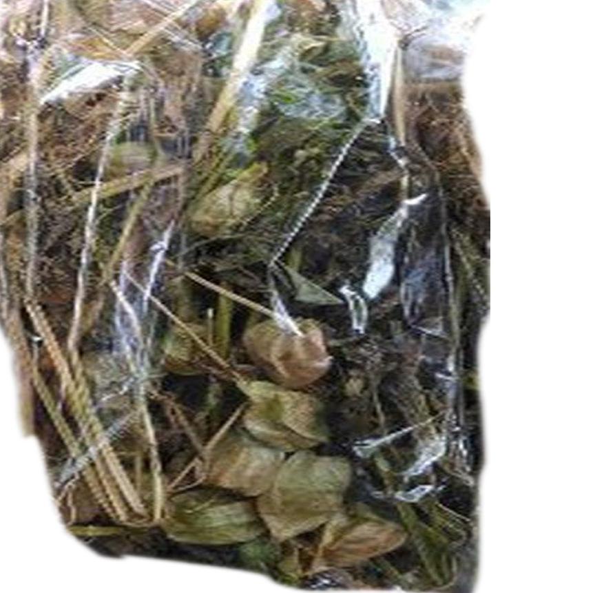 

COD✔️Daun Ciplukan Kering 1 kg|SQ3