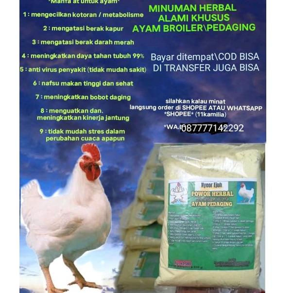 

Sangat Nyaman.. Minuman herbal tradisional superjoss untuk semua jenis ayam JWH