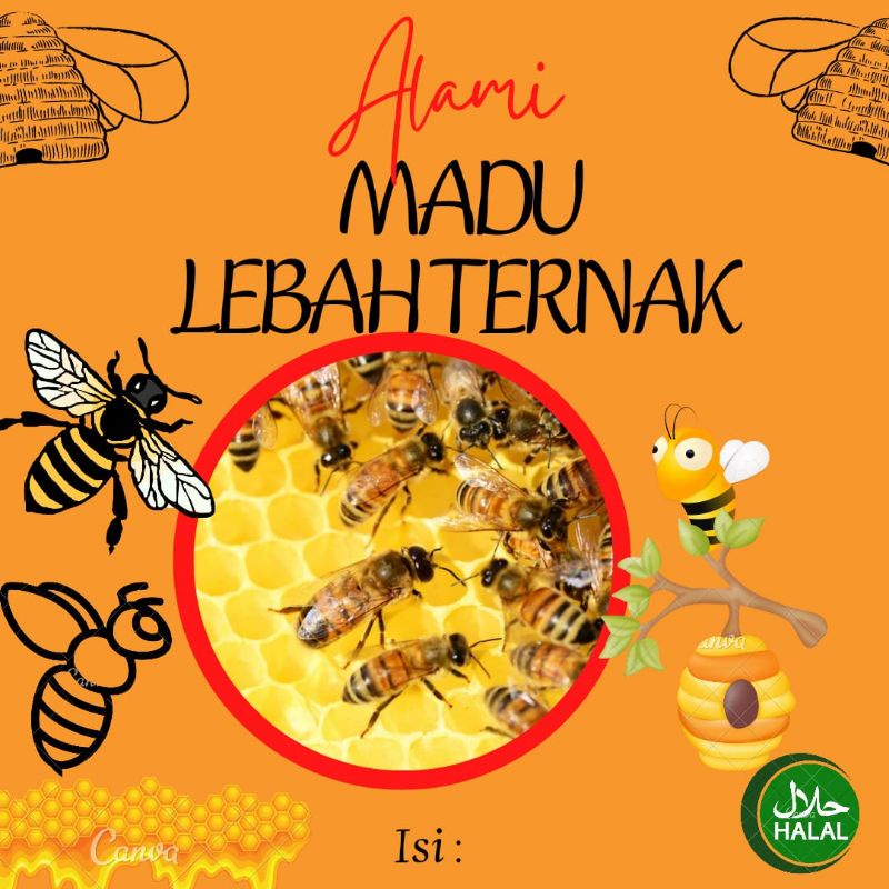 

Madu Ternak Trigona Alami Dijamin Asli