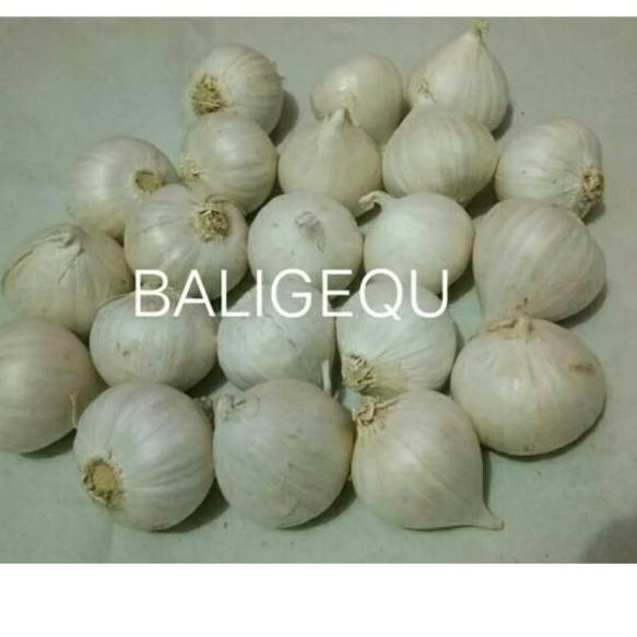 

Best--BAWANG PUTIH TUNGGAL 500 GRAM