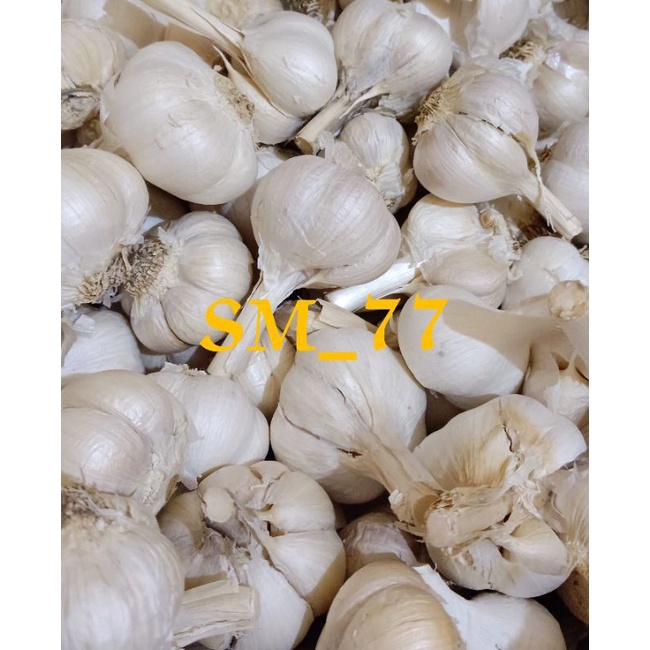 

Bawang Putih Kating 1kg