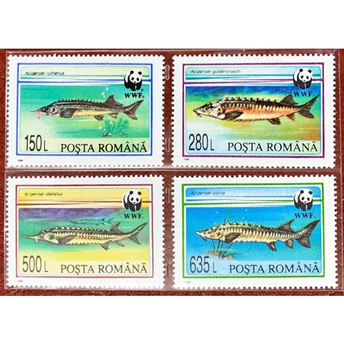 

Aman Prangko Wwf Romania 1994 Ikan Sturgeons Dari Romania. 4V Series. Mnh. Murah