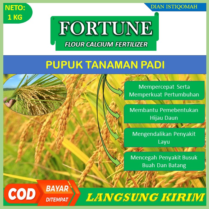 ( Promo ) Pupuk Kalsium FORTUNE 1 KG - Obat Busuk Tanaman Padi - Obat Anti Hama Tanaman Padi - Obat 