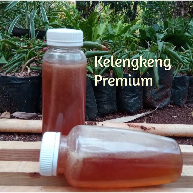 

BEST SALES MADU KELENGKENG PREMIUM 300G DISCOUNT