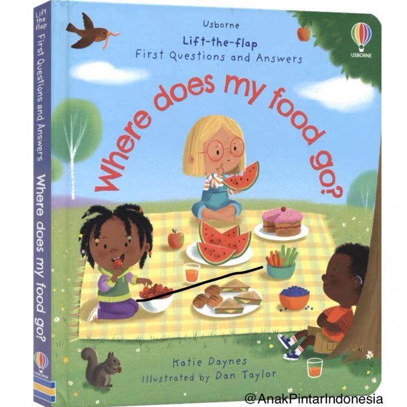 USBORNE LIFT THE FLAP FIRST Q&A WHERE DOES MY FOOD GO?
