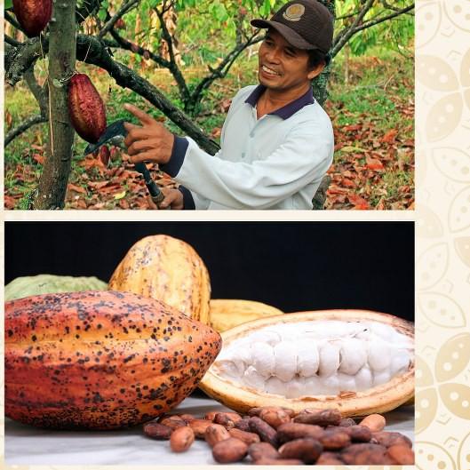 

✨Promo✨ Hari Ini Chocolate Monggo | Oleh-oleh Jakarta Cokelat Box | Bajaj Coklat 20 Bites Mixed Flavors| Gift Kemerdekaan gas !!